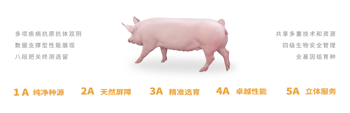 民望5A育種標(biāo)準(zhǔn)